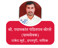 your paragraph text (43)